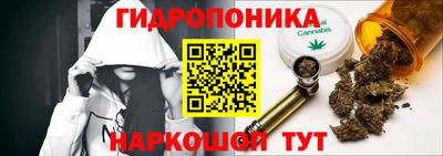 индика Северобайкальск