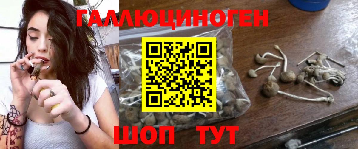где продают   Галлюциногенные грибы мицелий  Вход с VPN  Новороссийск 